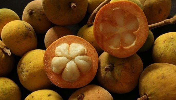 From Sinantolan to ice cream: 8 chefs share how to best enjoy Santol