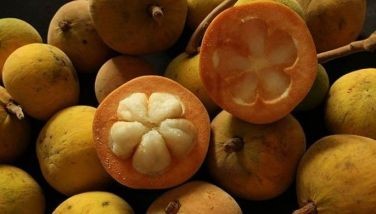 From Sinantolan to ice cream: 8 chefs share how to best enjoy Santol