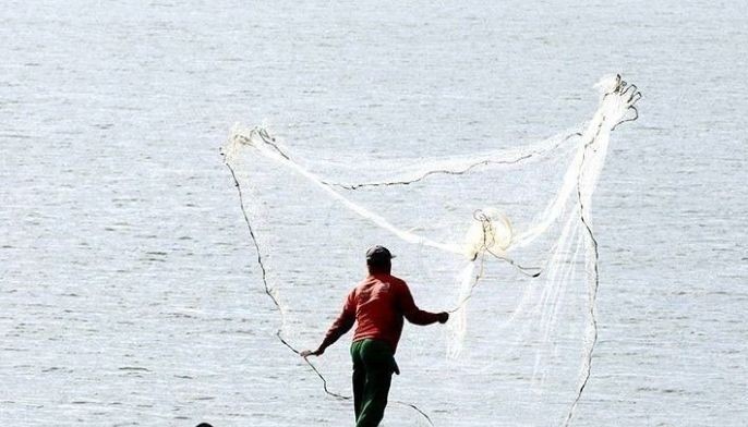 Agriculture, fisheries sector on track to recovery