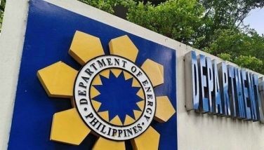 No further delays seen in green auction rounds
