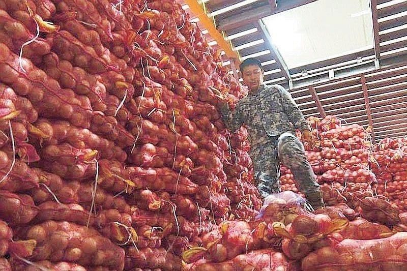 DA to dispose 500 metric tons of smuggled vegetables