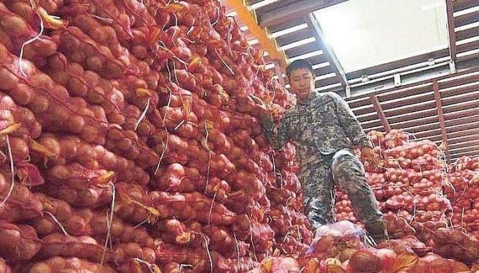 DA to dispose 500 metric tons of smuggled vegetables