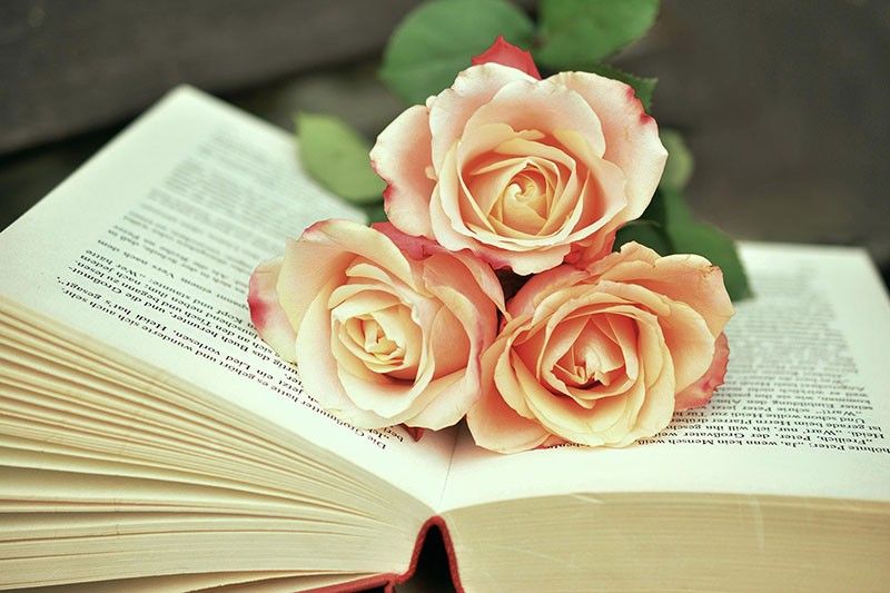 The Paper Rebellion: Why books and newspapers still matter in a TikTok world