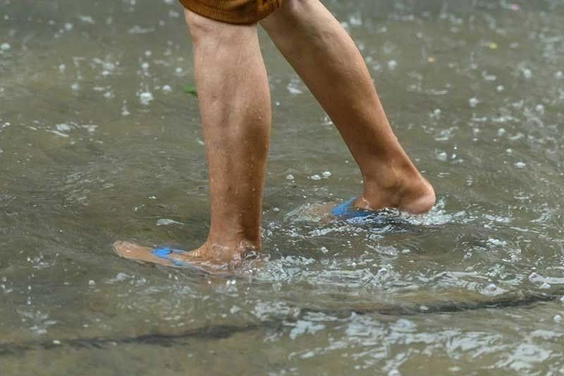 Student searching for missing dad dies of leptospirosis