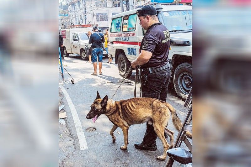 Cop bashed over ‘sickly’ bomb-sniffing dog