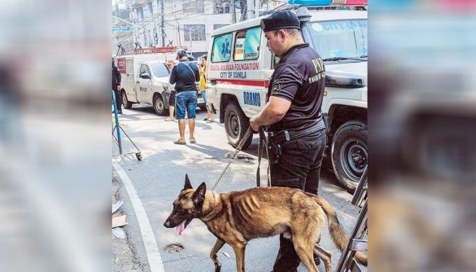 Cop bashed over &lsquo;sickly&rsquo; bomb-sniffing dog