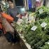 ‘Inflation within target, but still a major issue’