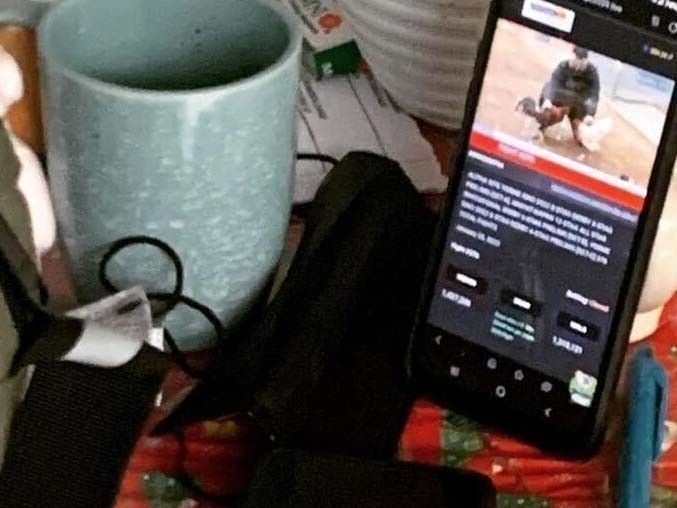 E-sabong thrives on illegal gaming platforms – study