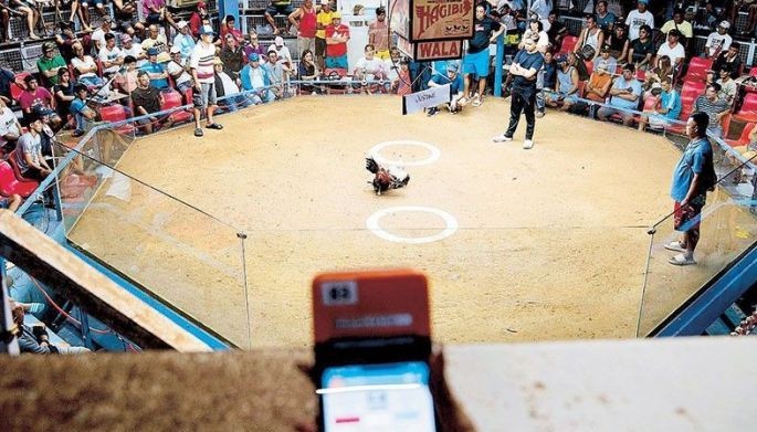 Despite ban and murders, online sabong thrives