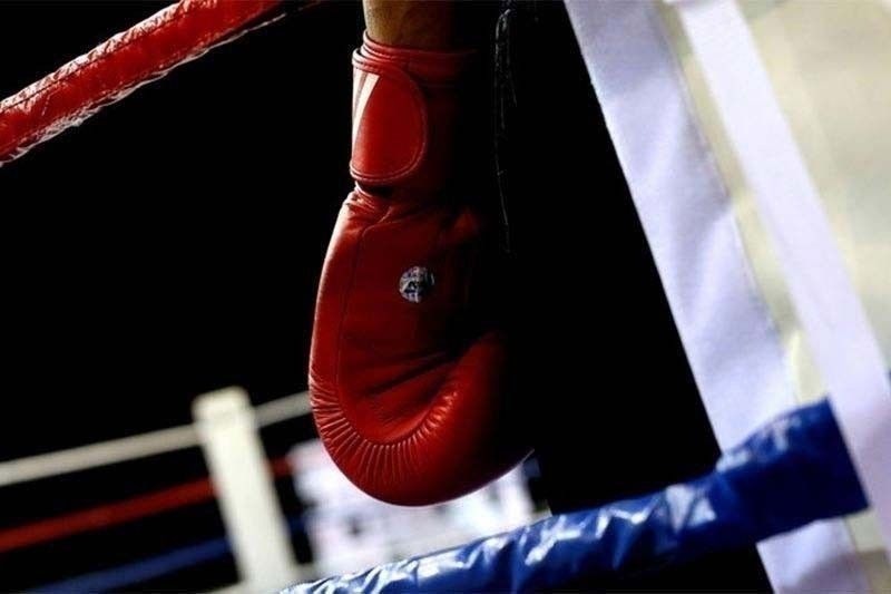 Vayson vies for WBA/WBO titles