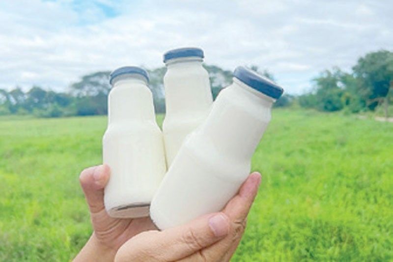 Milk output churns higher in H1 as dairy herd grows
