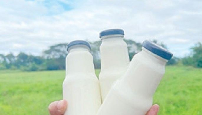 Milk output churns higher in H1 as dairy herd grows