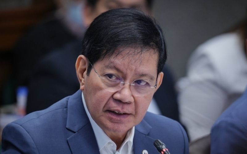 Ping slams ‘crazy cat, barking dog’