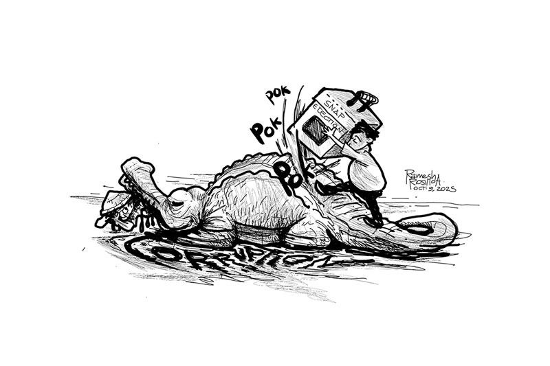 EDITORIAL — Oh, snap!