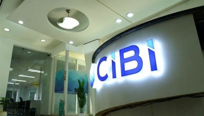 Fintech firms drive surge in bite-sized loans &mdash; CIBI