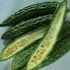 Recipes included: 4 creative ways to prepare Ampalaya besides ginisa