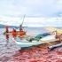 Ethanol spill disaster: Dark waters, lost income