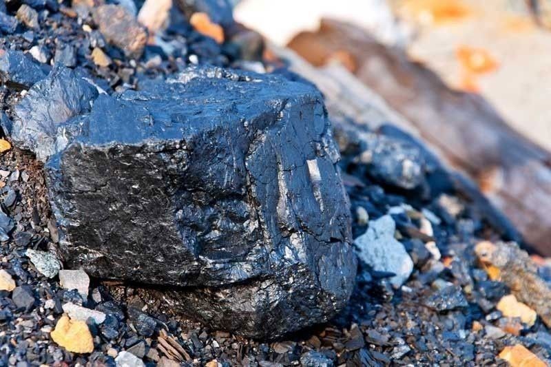 Watchdog seeks tighter regulations on nickel mining