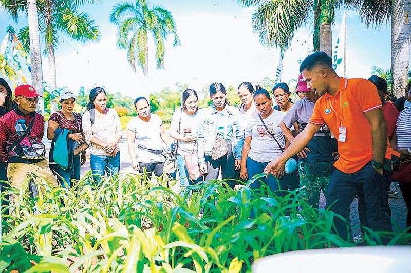 Syngenta develops breakthrough corn pest solution