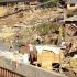 Philippines ranks 7th in climate risk index