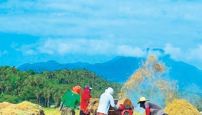 Farmers score variable rice tariff scheme