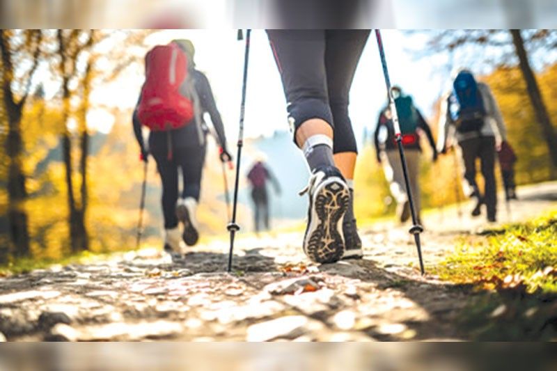 Walking trends