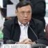 Roque decries Philippines Interpol request