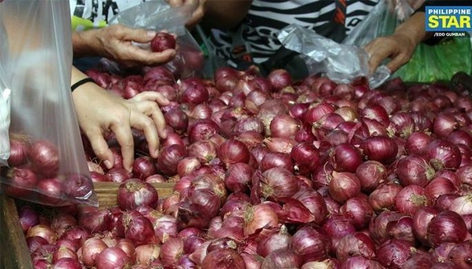 MSRP ng pulang sibuyas, itinaas sa P150/kilo