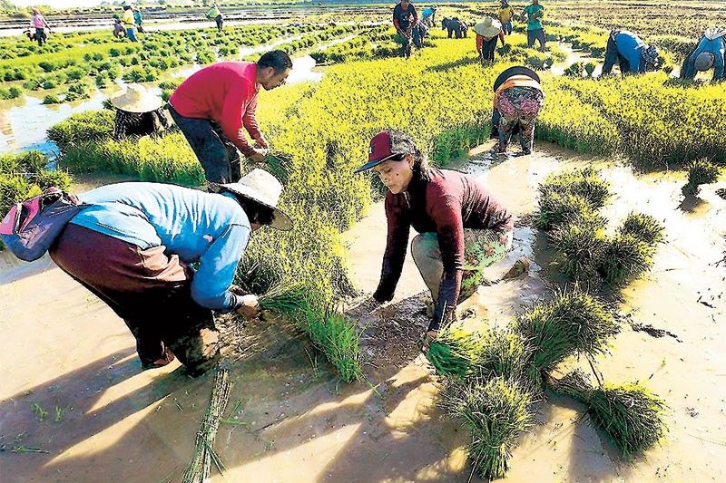 Mixed gains, challenges and the chase for resilience