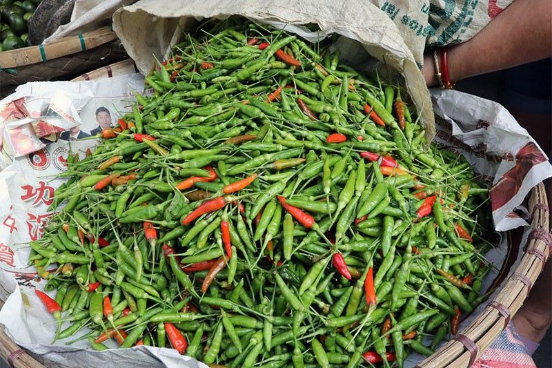 Government to buy more local chili, mung beans