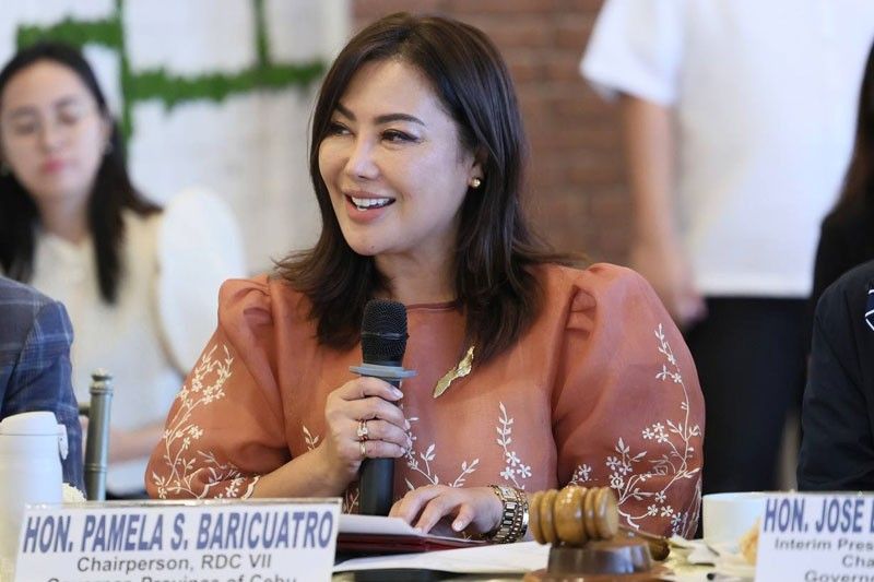 Pam elected chair of Visayas Regional development committee