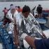 'No one alerted us': Lawyer recalls neglect as MV Trisha Kerstin 3 capsized