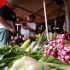 ‘January inflation may settle within 1.4-2.2% range’