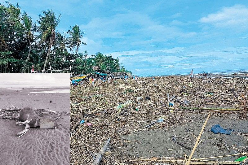 Flash floods, landslides hit Negros Occidental; 1 dead