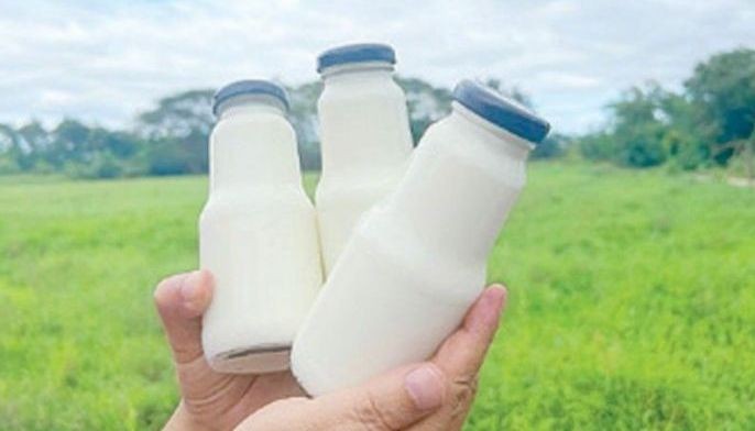 Dairy output rises to record 43 million liters