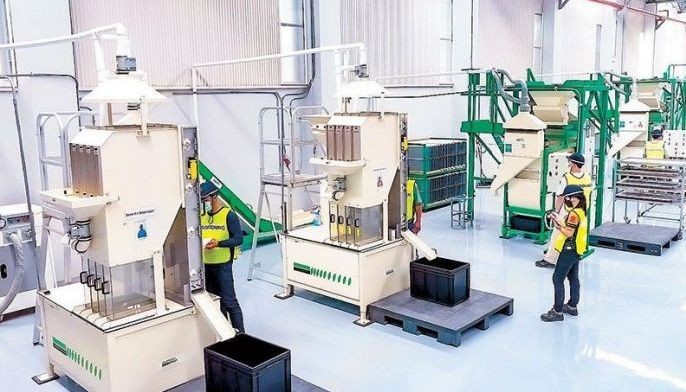 Bayer ramps up hybrid seed output for Philippines, other markets