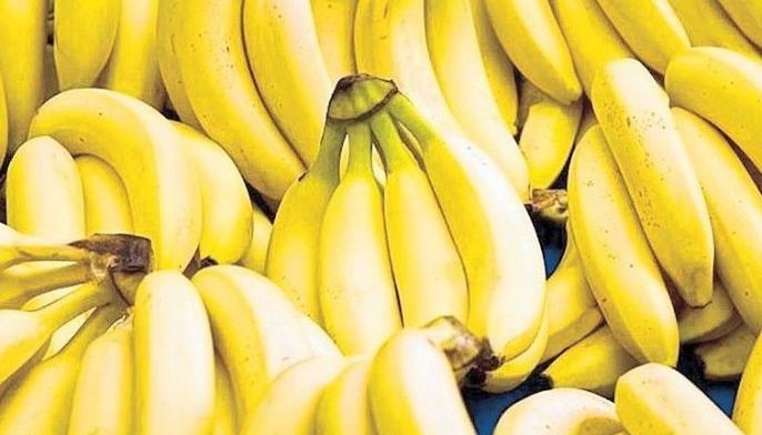 Philippines may lose $200 million banana exports to war