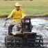 Only 45,000 farmers, fisherfolk to get fuel subsidy as aid falls short