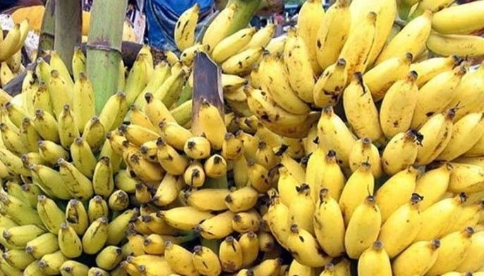 Banana exporters seek economic reprieve amid war
