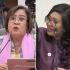 House panel rebuffs Sara's argument vs 'mini-trial', opens impeachment without her