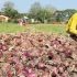 DA: Fertilizer prices may rise