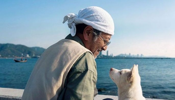 Thai tearjerker &lsquo;Gohan&rsquo; about a stray dog to hit Philippine cinemas
