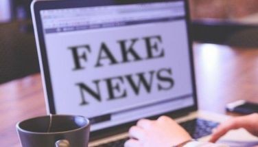 PNP to combat fake news on energy
