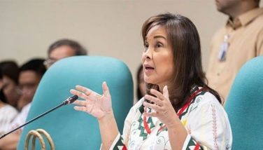 Senator files Bayanihan 3 bill