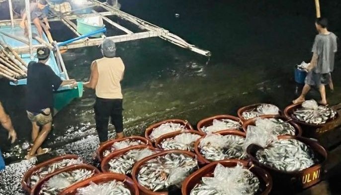 Banye-banyerang isda na huli sa Sorsogon, nabulok lang
