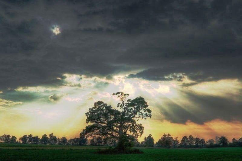 God’s Agents of Peace