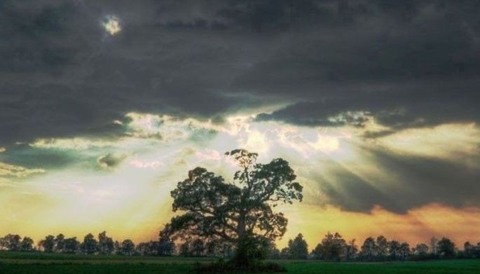 God&rsquo;s Agents of Peace