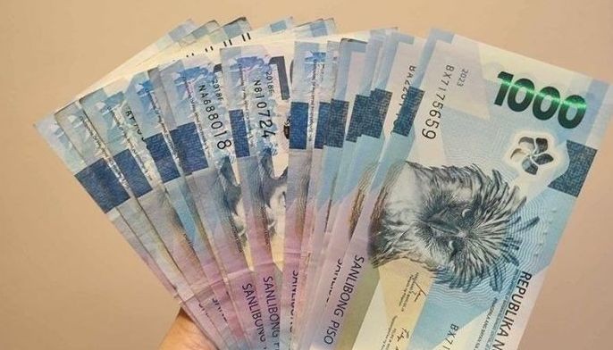 Government hikes borrowings to P479 billion in February