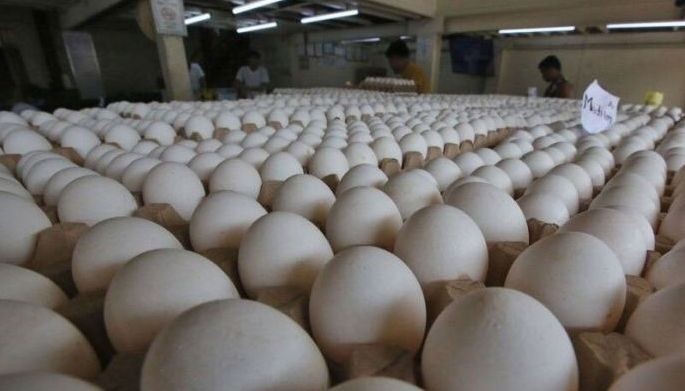 Industriya ng itlog, apektado sa taas presyo ng petrolyo