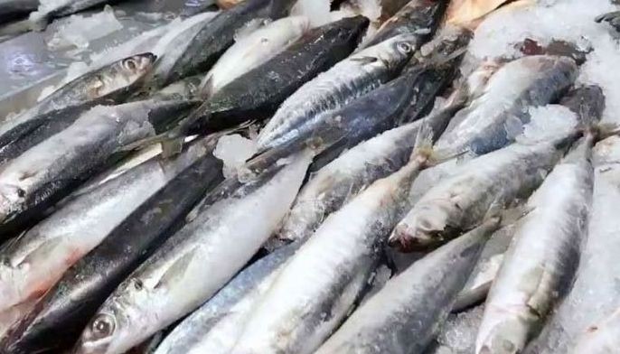 Rice, fish shipments benefit from P1 port fee